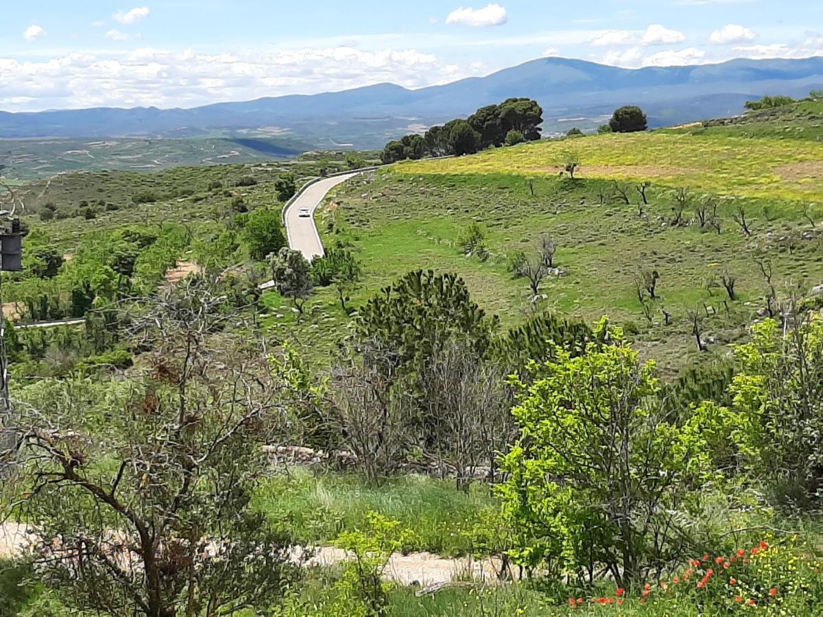 Casa Rural "Eccehomo De Borja" Affittacamere Esterno foto