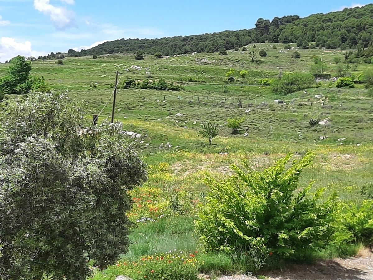 Casa Rural "Eccehomo De Borja" Affittacamere Esterno foto