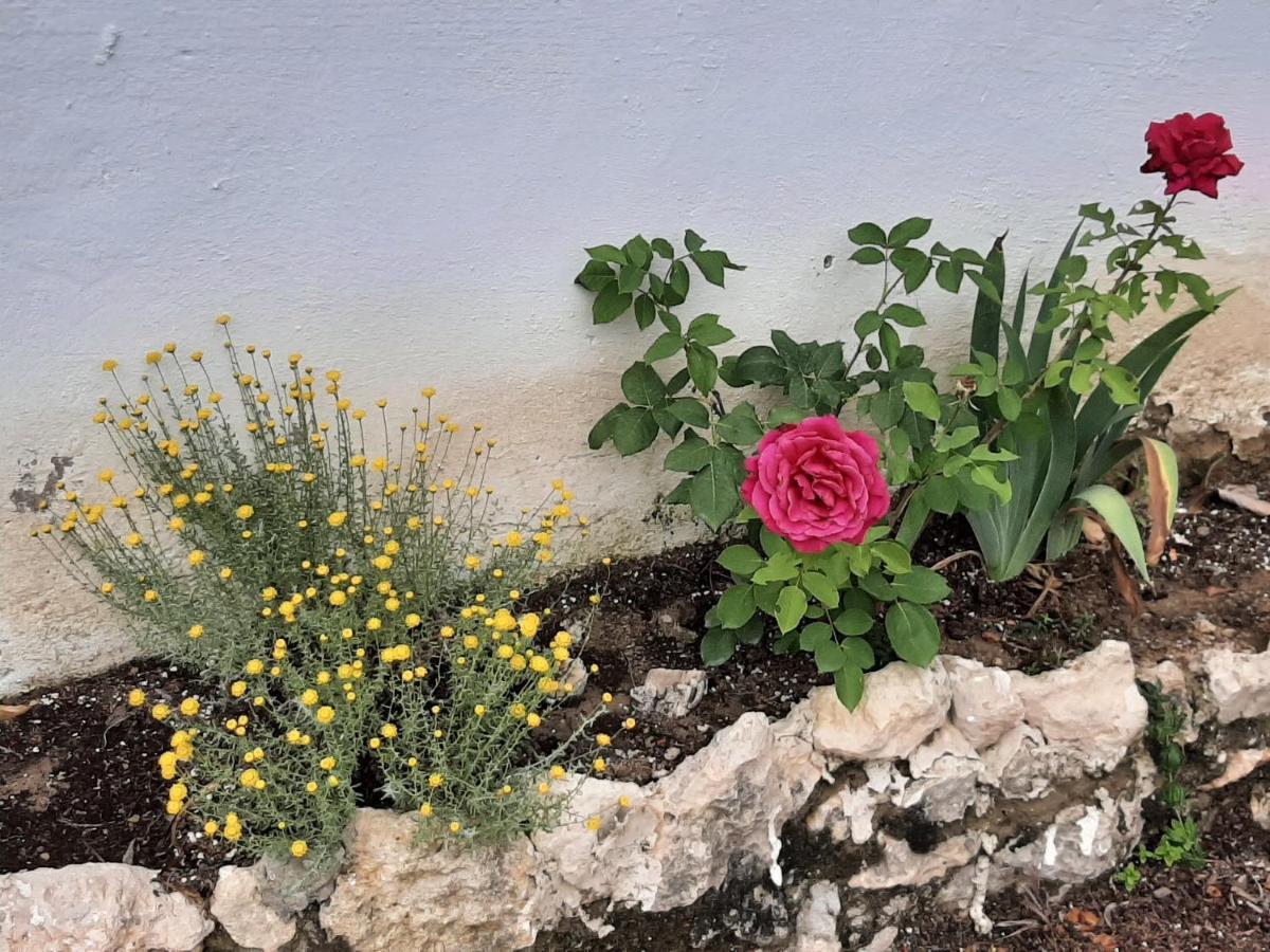 Casa Rural "Eccehomo De Borja" Affittacamere Esterno foto