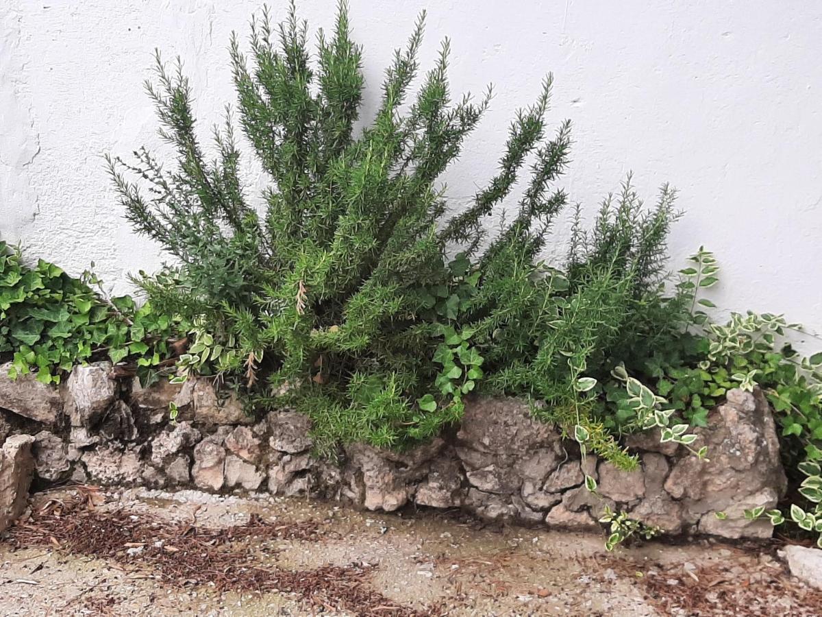 Casa Rural "Eccehomo De Borja" Esterno foto