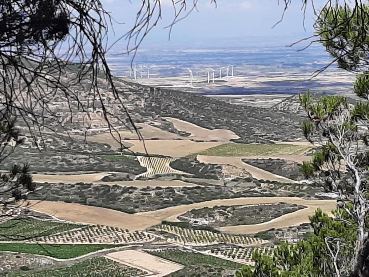 Casa Rural "Eccehomo De Borja" Affittacamere Esterno foto