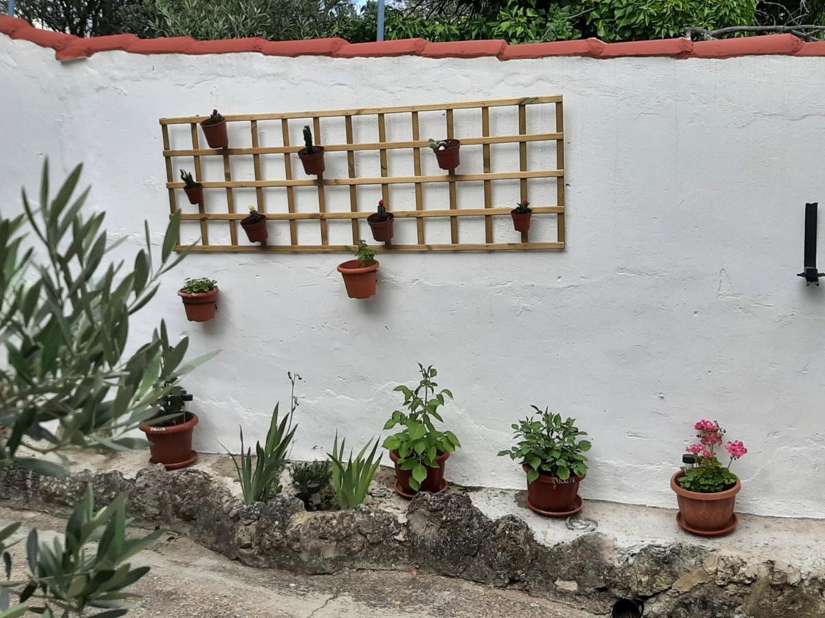 Casa Rural "Eccehomo De Borja" Esterno foto