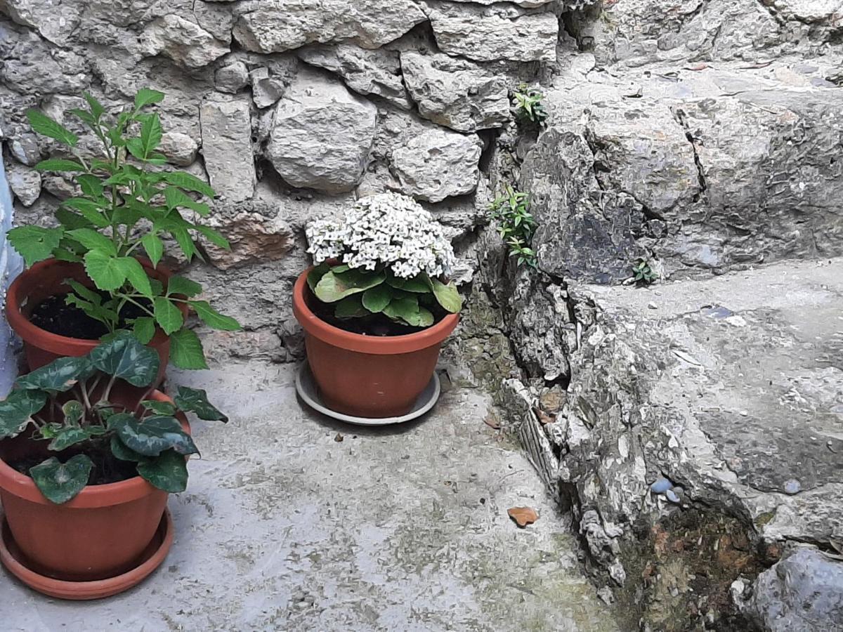Casa Rural "Eccehomo De Borja" Esterno foto