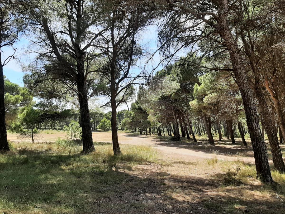 Casa Rural "Eccehomo De Borja" Esterno foto