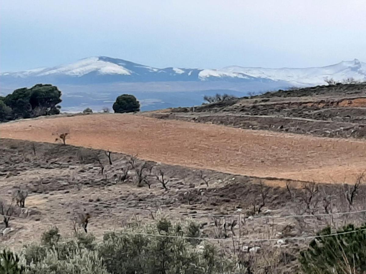 Casa Rural "Eccehomo De Borja" Affittacamere Esterno foto