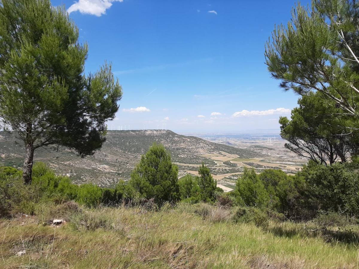 Casa Rural "Eccehomo De Borja" Affittacamere Esterno foto