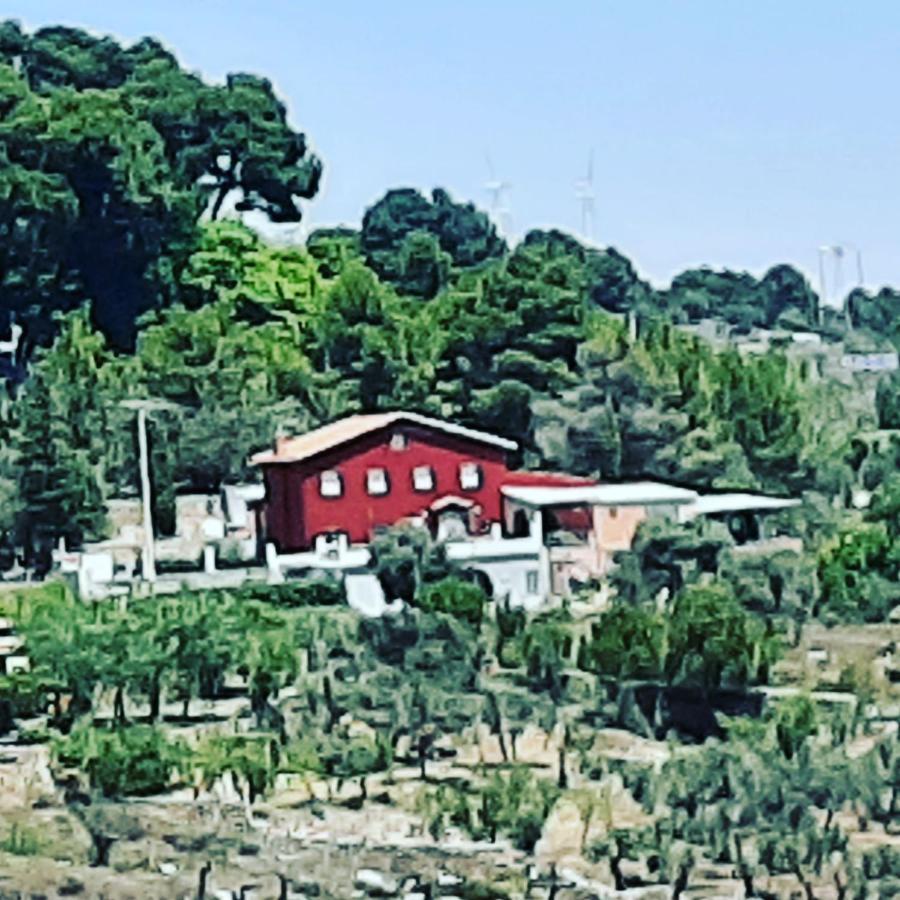 Casa Rural "Eccehomo De Borja" Affittacamere Esterno foto